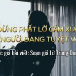 ĐỪNG PHẤT LỜ CẢM XÚC VỚI NGƯỜI ĐANG TUYỆT VỌNG