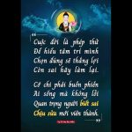 Thông điệp của bạn hôm nay là gì?