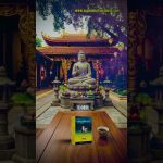 Tính tạo ra số phận. Muốn đổi vận phải giải tâm